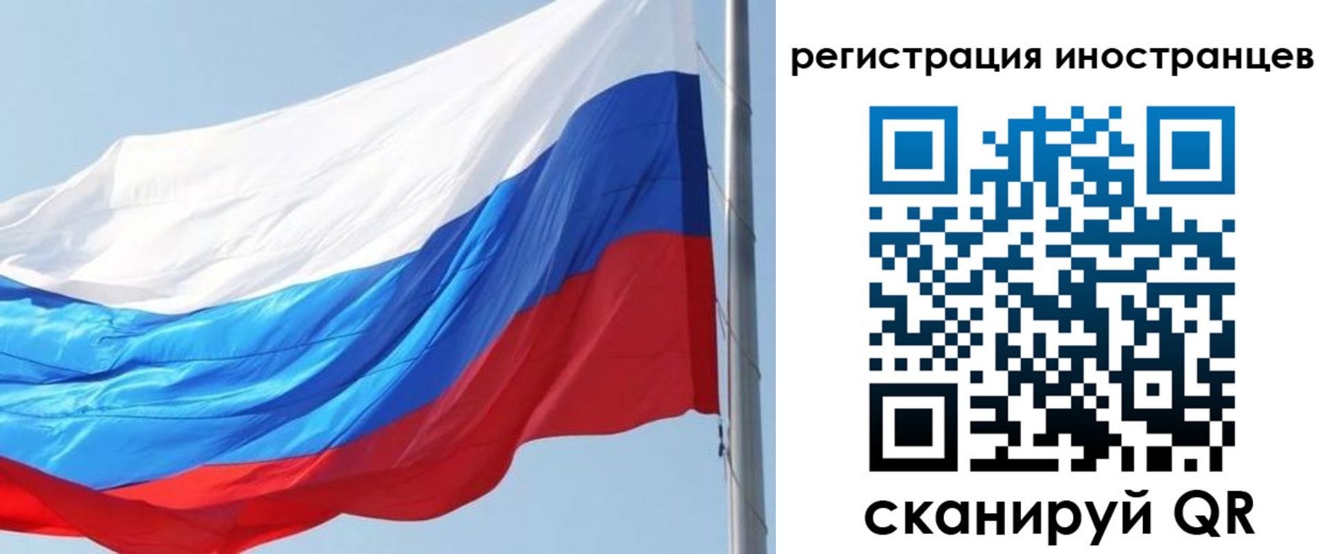 прописка 2025 в Пионерском