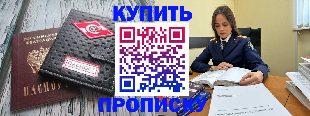 где прописаться в Пионерском